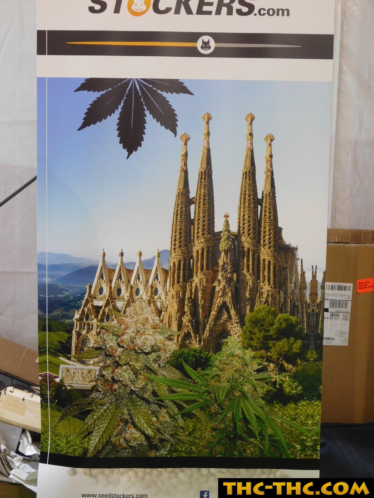 spannabis barcelona 2018
